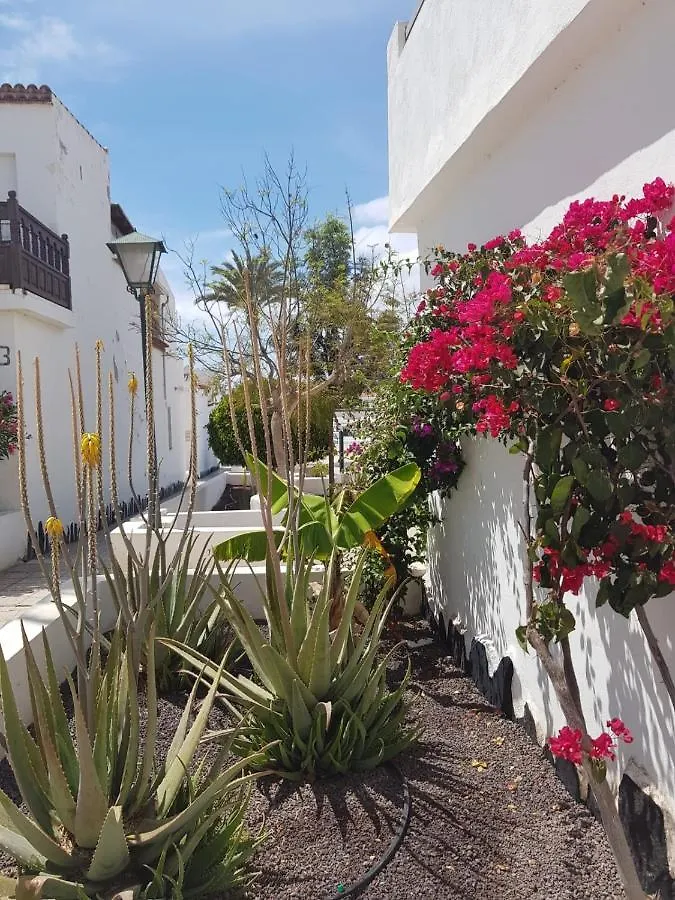 Charlotte Apartment Up Arona  Arona (Tenerife)