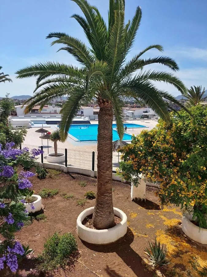 Charlotte Apartment Up Arona  0*, Arona (Tenerife)